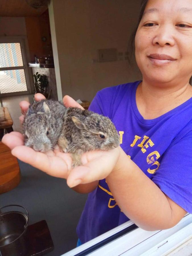 Taitung Sansiantai B&B Chenggong Zewnętrze zdjęcie